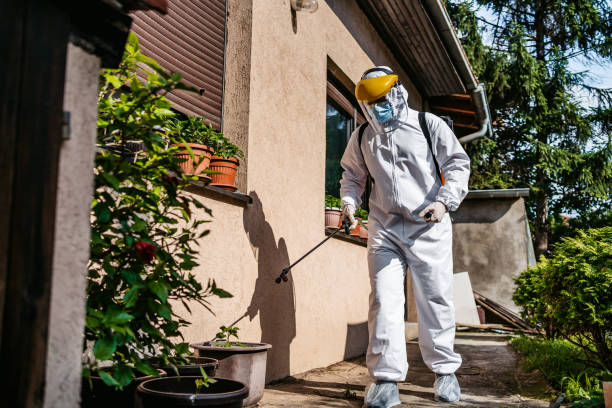 Best Best Pest Control Companies  in Pueblo West, CO
