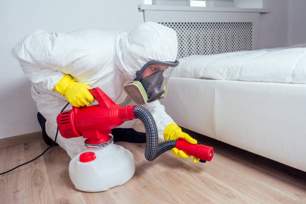 Best Affordable Pest Control Services  in Pueblo West, CO